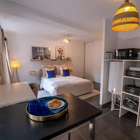 Le Celeste Apartment Saint-Etienne (Loire)